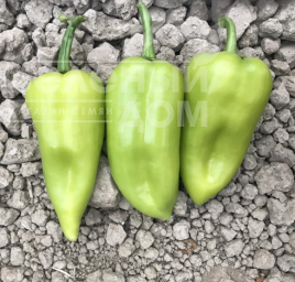 Насіння солодкого перцю ЦРХ 69110 F1 / CRX 69110 F1 купити оптом і в роздріб в Україні за вигідною ціною