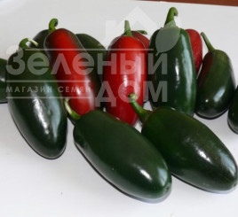Насіння гіркого перцю 1851 F1 / 1851 F1,60 днів купити оптом і в роздріб в Україні за вигідною ціною