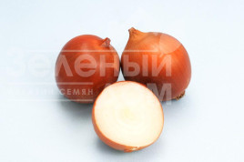 Цибуля ріпчаста Сталкер F1 / Stalker F1 (Преміум) купити оптом і в роздріб в Україні за вигідною ціною