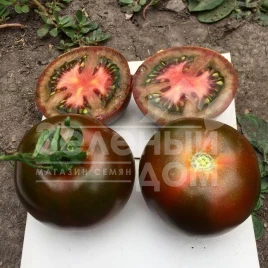 Семена томатов Мавр F1 / Mavr F1,110 дней купить оптом и в розницу в Украине по выгодной цене