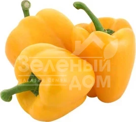 Семена сладкого перца Минерва F1 / Minerva F1,70 дней купить оптом и в розницу в Украине по выгодной цене