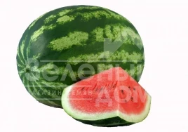 Семена арбуза АУ Продюсер / AU Producer (Hollar Seeds) купить оптом и в розницу в Украине по выгодной цене