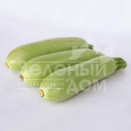 Семена кабачков КС 1241 F1 / KS 1241 F1,30-35 дней купить оптом и в розницу в Украине по выгодной цене