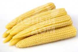 Насіння кукурудзи Мініголд / Minigold купити оптом і в роздріб в Україні за вигідною ціною