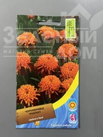 Семена цветов Бархатцы раскидистые низкие Карамель купить оптом и в розницу в Украине по выгодной цене