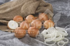 Лук репчатый Алонсо F1 / Alonso F1,110-115 дней купить оптом и в розницу в Украине по выгодной цене