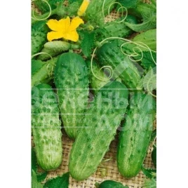 Семена огурцов Альянс F1 / Allianz F1,40-45 дней купить оптом и в розницу в Украине по выгодной цене