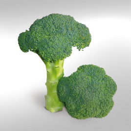 Насіння капусти броколі КС 355 F1 / KS 355 F1,65-70 днів купити оптом і в роздріб в Україні за вигідною ціною