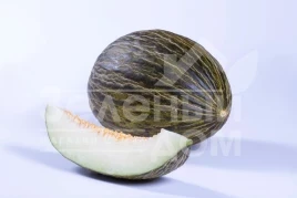 Семена дыни Долсура F1 / Dolsura F1,75-85 дней купить оптом и в розницу в Украине по выгодной цене