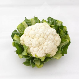 Насіння капусти цвітної Спідстар F1 / Speedstar F1, 54-58 днів купити оптом і в роздріб в Україні за вигідною ціною