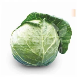 Семена капусты белокочанной Багратион F1 (ЦРХ 16093) / Bagration F1 (CRX 16093),47-52 дня купить оптом и в розницу в Украине по выгодной цене