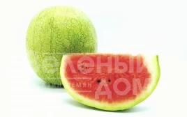 Семена арбуза Минипул F1 / Minipul F1,75 дней купить оптом и в розницу в Украине по выгодной цене