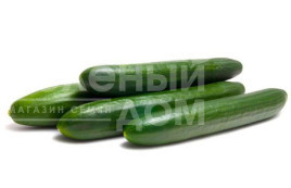 Насіння огірків Віста F1 / Vista F1,45-50 днів купити оптом і в роздріб в Україні за вигідною ціною