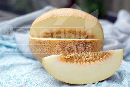 Насіння дині Голді F1 / Goldi F1,65-70 днів купити оптом і в роздріб в Україні за вигідною ціною