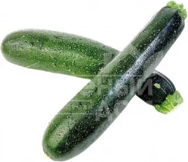 Семена кабачков Нефертити / Nefertiti,47-53 дня купить оптом и в розницу в Украине по выгодной цене