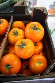 Семена томатов Еллоу Пешен F1 / Yellow Passion F1,100 дней купить оптом и в розницу в Украине по выгодной цене