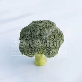 Семена капусты брокколи Бести F1 / Besty F1,55-60 дней купить оптом и в розницу в Украине по выгодной цене