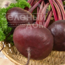 Насіння буряка Єгипетський / Egipetskiy, 100-120 днів купити оптом і в роздріб в Україні за вигідною ціною