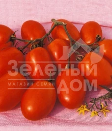 Семена томатов Ксико F1 / Xiko F1,110-115 дней купить оптом и в розницу в Украине по выгодной цене