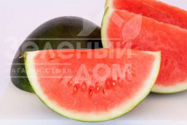 Насіння кавуна Титанія F1 / Titania F1,70-75 днів купити оптом і в роздріб в Україні за вигідною ціною