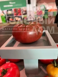 Томат Тарагона F1 / Taragona F1  купить оптом и в розницу в Украине по выгодной цене