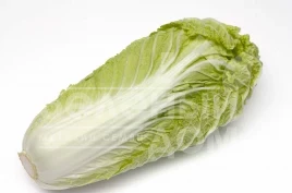 Семена капусты пекинской Конкорд F1 / Concord F1,65 дней купить оптом и в розницу в Украине по выгодной цене