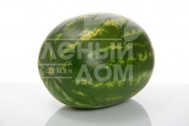 Насіння кавуна Селест F1 / Selest F1, 70-75 днів  купити оптом і в роздріб в Україні за вигідною ціною