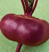 Семена свеклы Египос / Egipos купить оптом и в розницу в Украине по выгодной цене