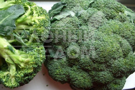 Насіння капусти броколі ТБР 508 F1 (Громовий купол) / TBR  508 F1 (Gromovoy kupol),80-85 днів купити оптом і в роздріб в Україні за вигідною ціною