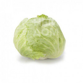 Насіння салату Сілвінас / Silvinas купити оптом і в роздріб в Україні за вигідною ціною