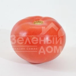 Семена томатов Фенда F1 / Fenda F1,60-65 дней купить оптом и в розницу в Украине по выгодной цене