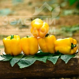 Семена сладкого перца Ибица F1 / Ibitsa F1, 75-80 дней купить оптом и в розницу в Украине по выгодной цене
