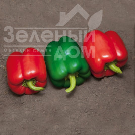 Насіння солодкого перцю Катан F1 / Katan F1 купити оптом і в роздріб в Україні за вигідною ціною