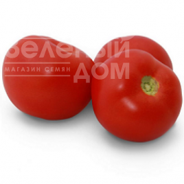 Насіння томатів КС 2910 F1 / KS 2910 F1,110-115 днів купити оптом і в роздріб в Україні за вигідною ціною