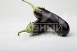 Семена баклажана Морис F1 (LS 1322) / Moris F1 (LS 1322),83-87 дней купить оптом и в розницу в Украине по выгодной цене
