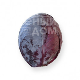 Насіння капусти червоноголової Футуріма F1 / Futurima F1, 125-140 днів купити оптом і в роздріб в Україні за вигідною ціною