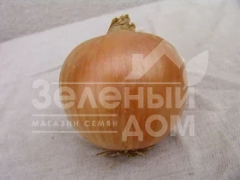 Лук репчатый Унико F1 / Uniko F1 купить оптом и в розницу в Украине по выгодной цене