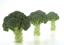 Насіння капусти броколі Нексос F1 / Naxos F1,75-80 днів купити оптом і в роздріб в Україні за вигідною ціною