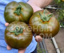 Семена томатов Блек Кинг F1 / Black King F1 купить оптом и в розницу в Украине по выгодной цене