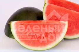 Семена арбуза Титания F1 / Titania F1,70-75 дней купить оптом и в розницу в Украине по выгодной цене