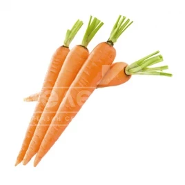 Семена моркови Колосеум F1 / Koloseum F1,120-130 дней купить оптом и в розницу в Украине по выгодной цене