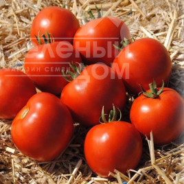 Насіння томатів Мамако F1 / Mamako F1,50-52 дні купити оптом і в роздріб в Україні за вигідною ціною