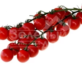 Семена томатов Конори F1 / Konori F1,95-100 дней купить оптом и в розницу в Украине по выгодной цене