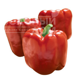 Насіння солодкого перцю Ред Джевел F1 / Red Jewel F1 купити оптом і в роздріб в Україні за вигідною ціною