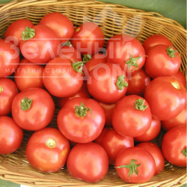 Насіння томатів Торо F1 / Toro F1,60-70 днів купити оптом і в роздріб в Україні за вигідною ціною