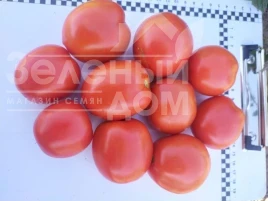 Насіння томату 9960 F1 / 9960 F1, 110 днів купити оптом і в роздріб в Україні за вигідною ціною