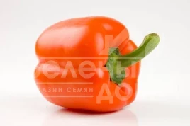 Семена сладкого перца Орени F1 / Oreny F1,70-80 дней купить оптом и в розницу в Украине по выгодной цене