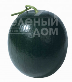 Насіння кавуна Блек Хіроу / Black Hero купити оптом і в роздріб в Україні за вигідною ціною