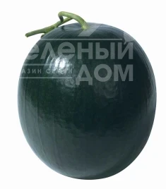 Насіння кавуна Блек Хіроу / Black Hero купити оптом і в роздріб в Україні за вигідною ціною