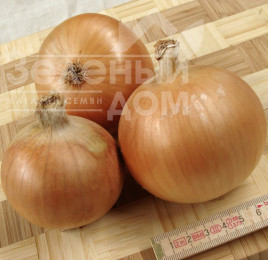 Цибуля ріпчаста Болеро F1 / Bolero F1, 123-128 днів купити оптом і в роздріб в Україні за вигідною ціною